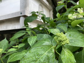 �����񍐎ʐ^